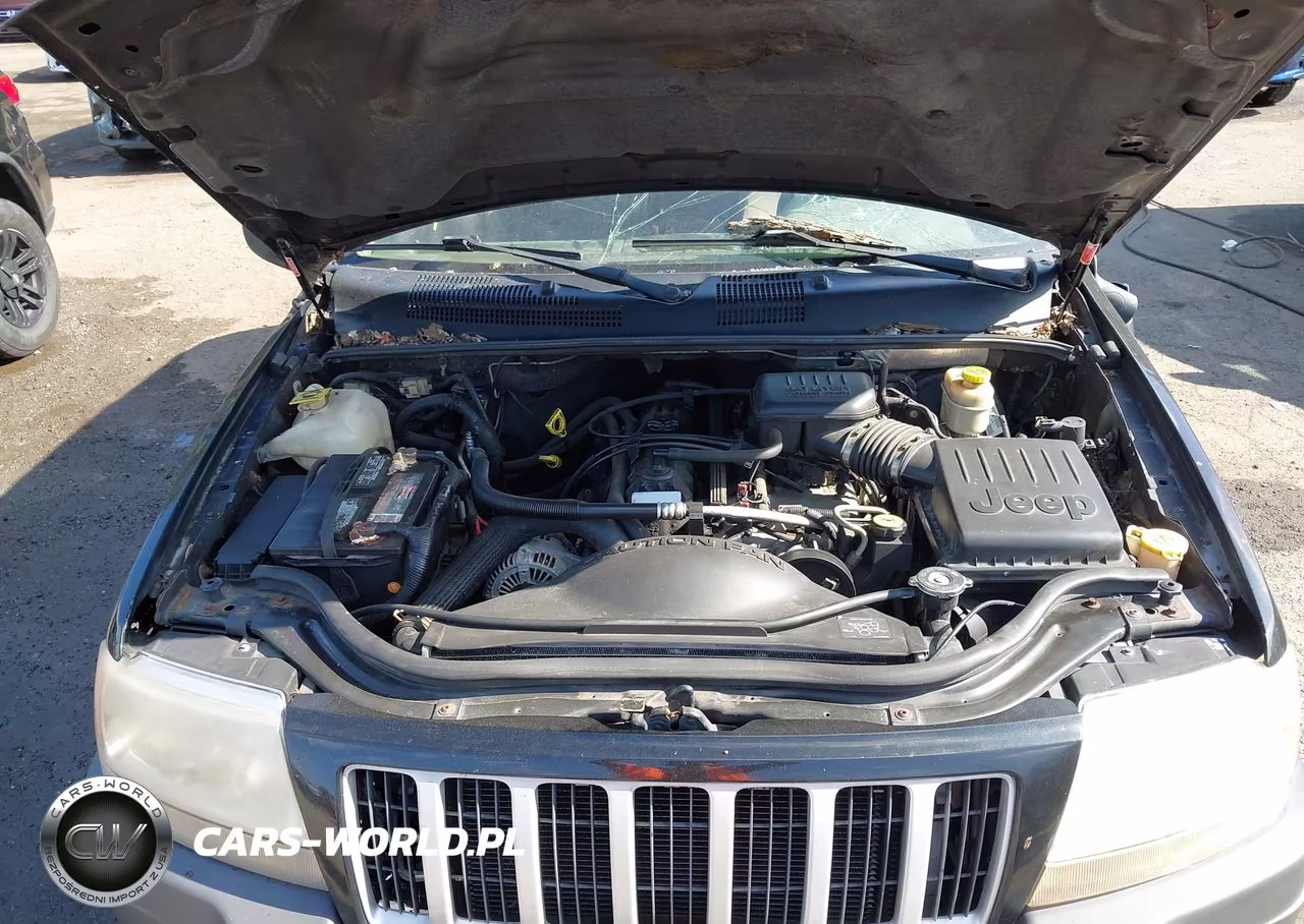 2004 Jeep Grand Cherokee Laredo VIN:1J4GW48S64C287711 - 10