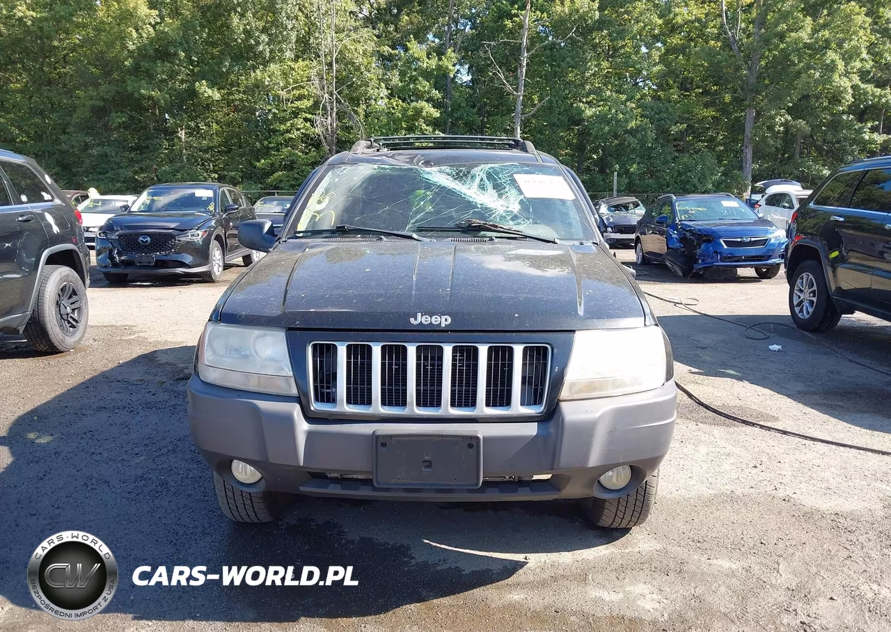 2004 Jeep Grand Cherokee Laredo VIN:1J4GW48S64C287711 - 12
