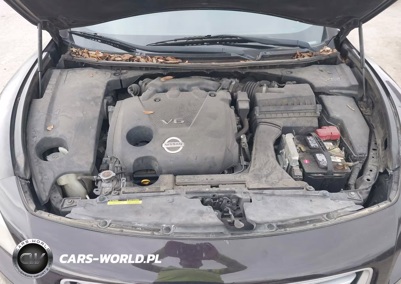 2014 Nissan Maxima 3.5 S-3.5 Sv VIN:1N4AA5AP3EC462848 - 10
