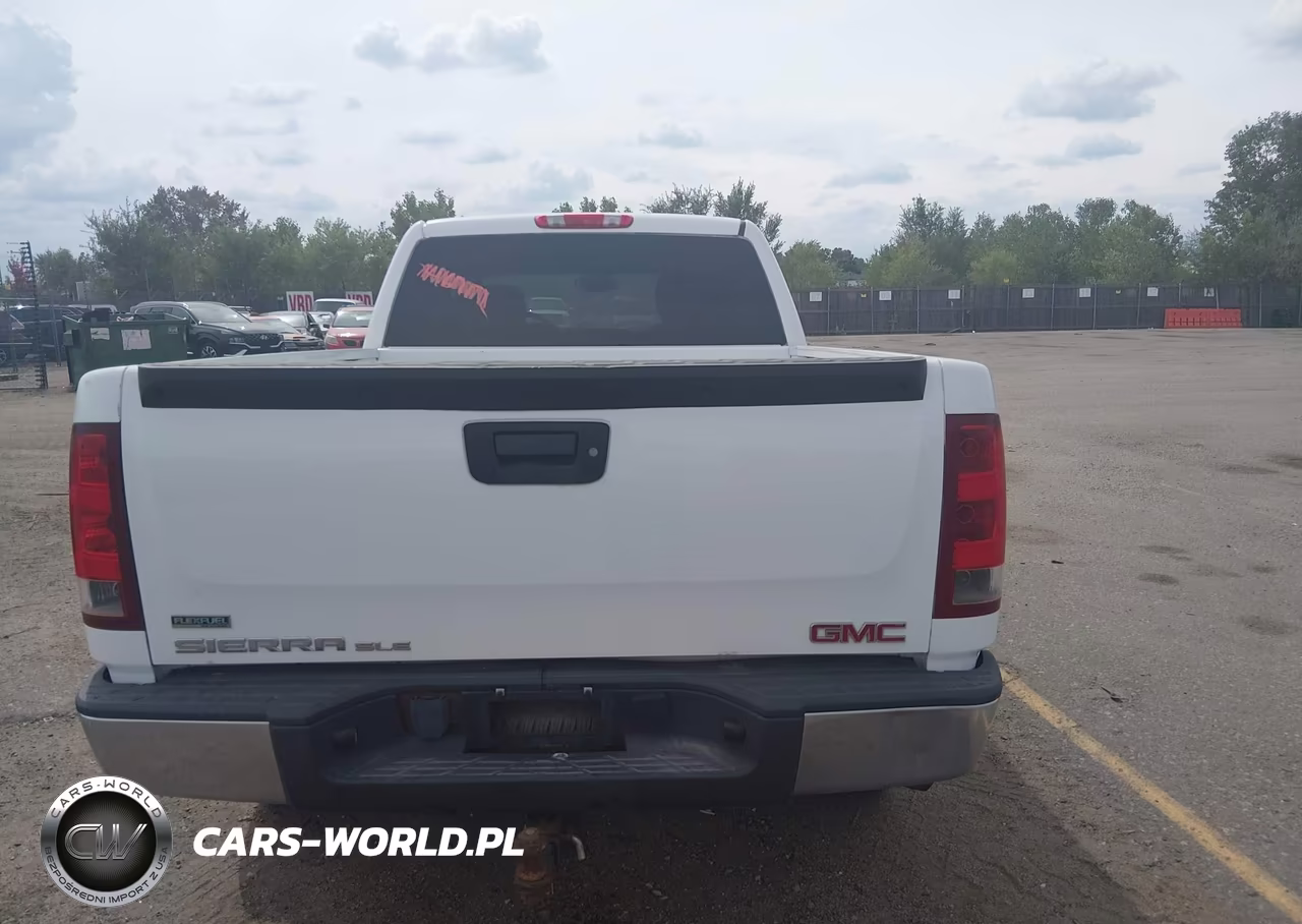2009 GMC Sierra 1500 Sle VIN:3GTEC23049G104701 - 16