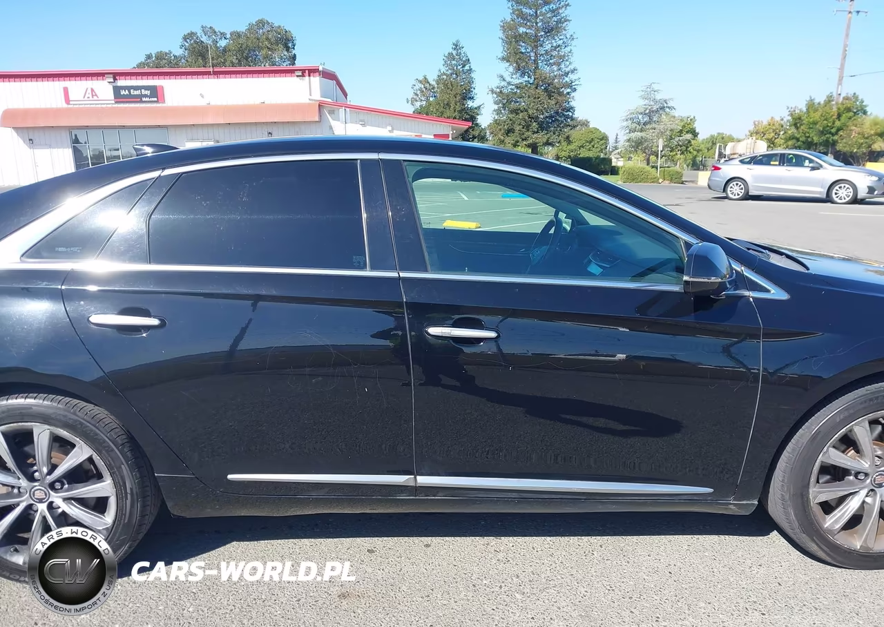 2015 Cadillac Xts W20 Livery Package VIN:2G61U5S32F9198398 - 13