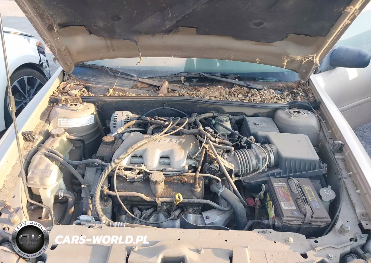 2002 Chevrolet Malibu VIN:1G1ND52J12M585673 - 10