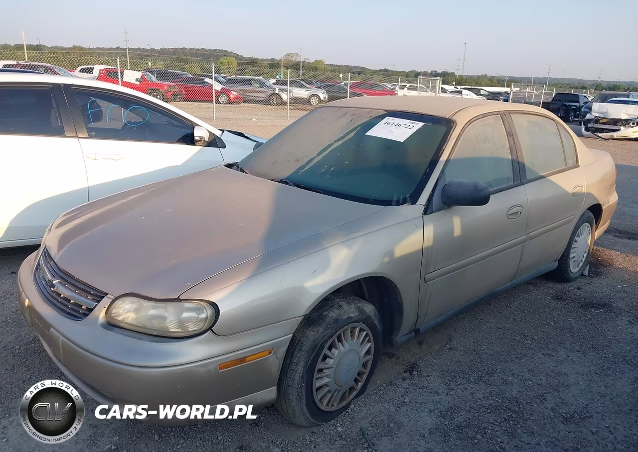 2002 Chevrolet Malibu VIN:1G1ND52J12M585673 - 2
