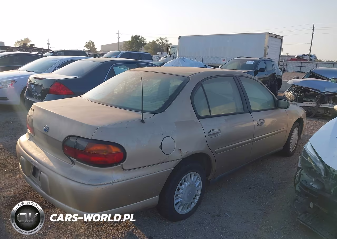 2002 Chevrolet Malibu VIN:1G1ND52J12M585673 - 4