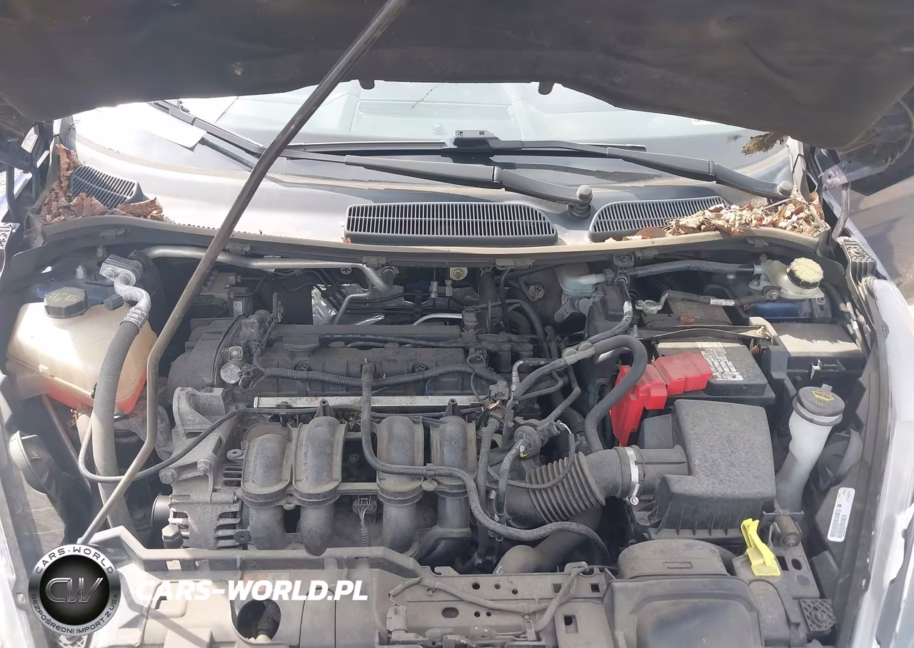 2016 Ford Fiesta Se VIN:3FADP4EJ6GM141996 - 10