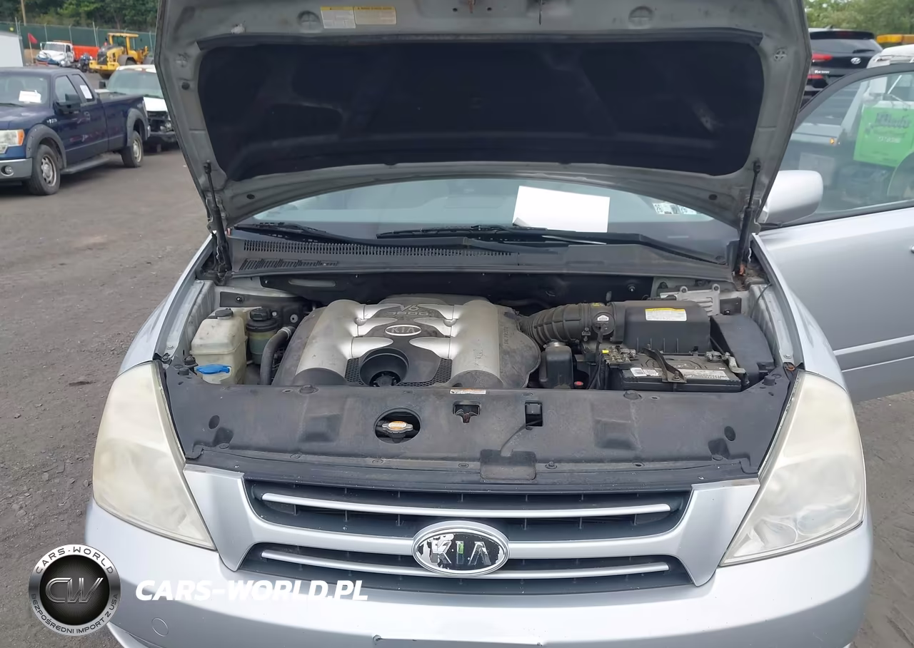 2006 Kia Sedona Ex-Lx VIN:KNDMB233566096260 - 10