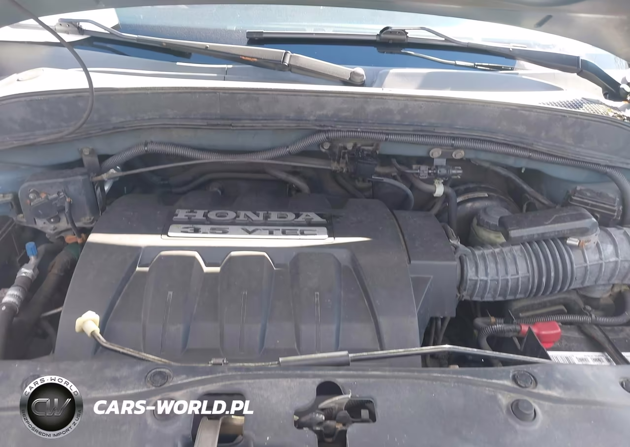 2006 Honda Pilot Ex-L VIN:5FNYF18566B009495 - 10