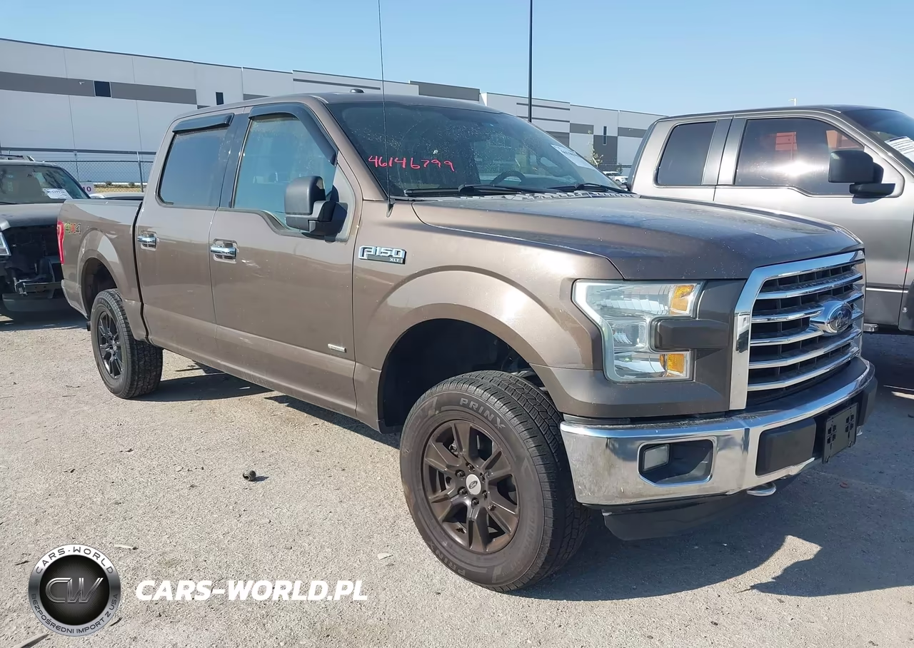 2015 Ford F-150 Xlt VIN:1FTEW1EGXFKF03094 - 1