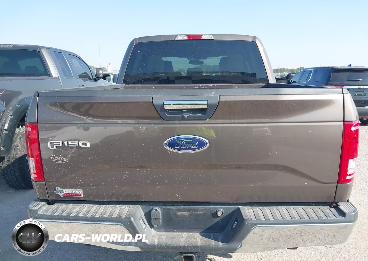 2015 Ford F-150 Xlt VIN:1FTEW1EGXFKF03094 - 16