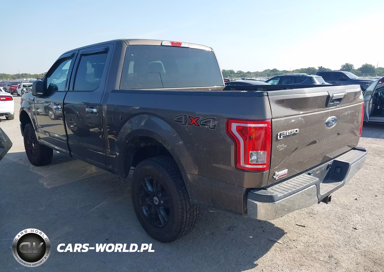 2015 Ford F-150 Xlt VIN:1FTEW1EGXFKF03094 - 3