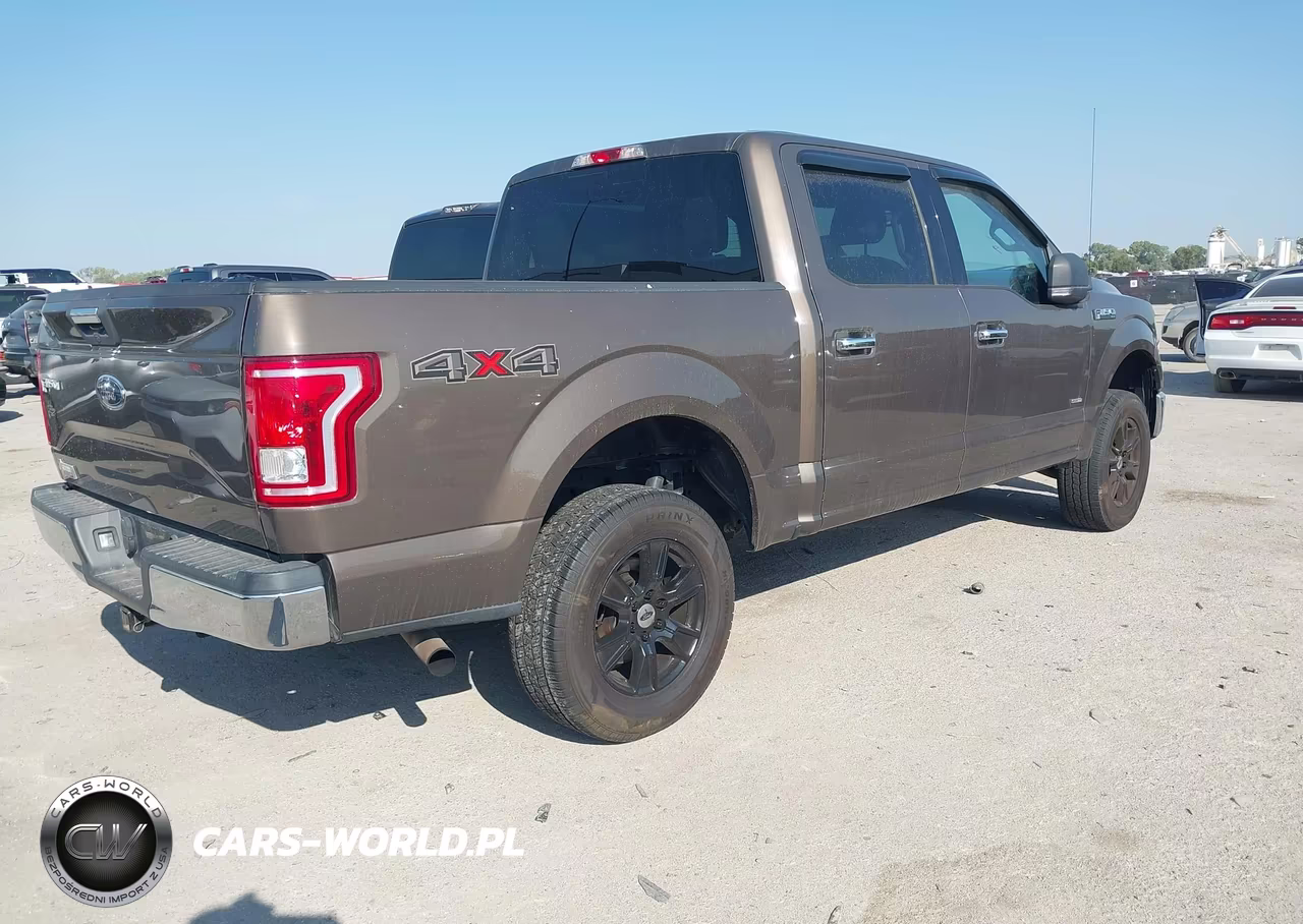 2015 Ford F-150 Xlt VIN:1FTEW1EGXFKF03094 - 4