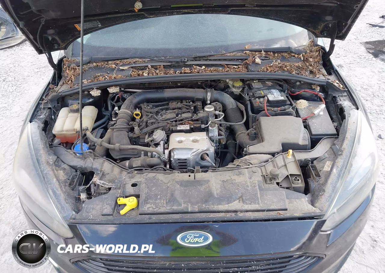 2016 Ford Focus Se VIN:1FADP3KE9GL401861 - 10