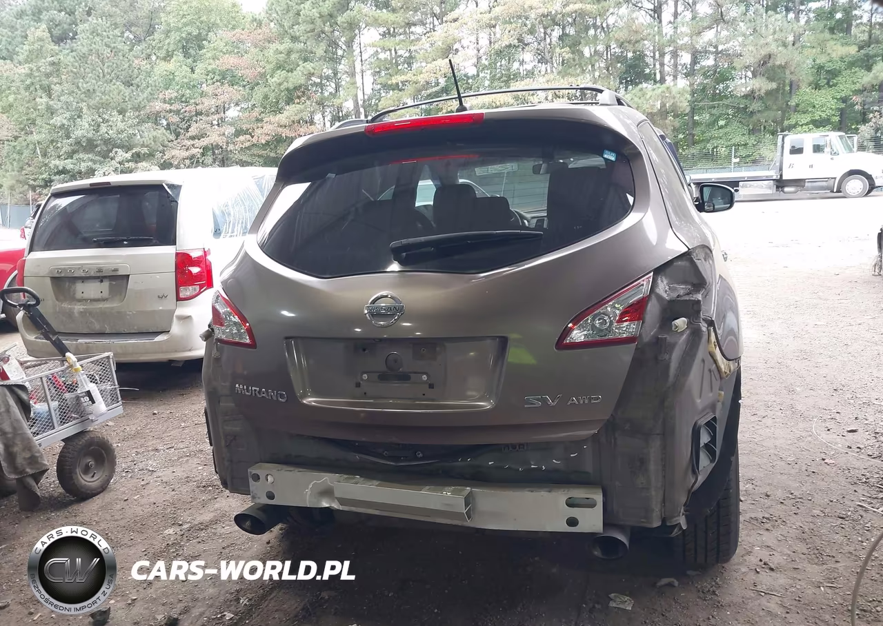 2011 Nissan Murano Sv VIN:JN8AZ1MW0BW177358 - 17