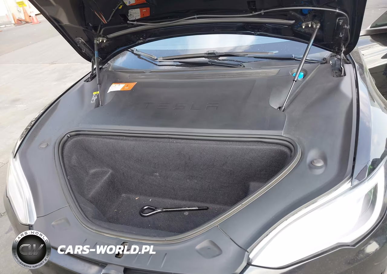 2018 Tesla Model S 100D-75D-P100D VIN:5YJSA1E24JF247594 - 10