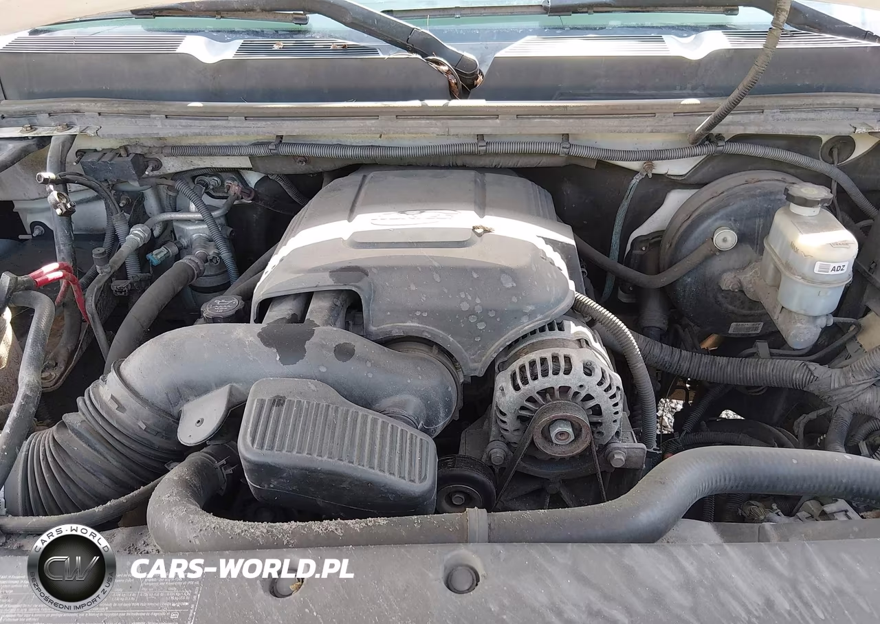 2009 Chevrolet Silverado 1500 Work Truck VIN:1GCEK14C99Z244894 - 10