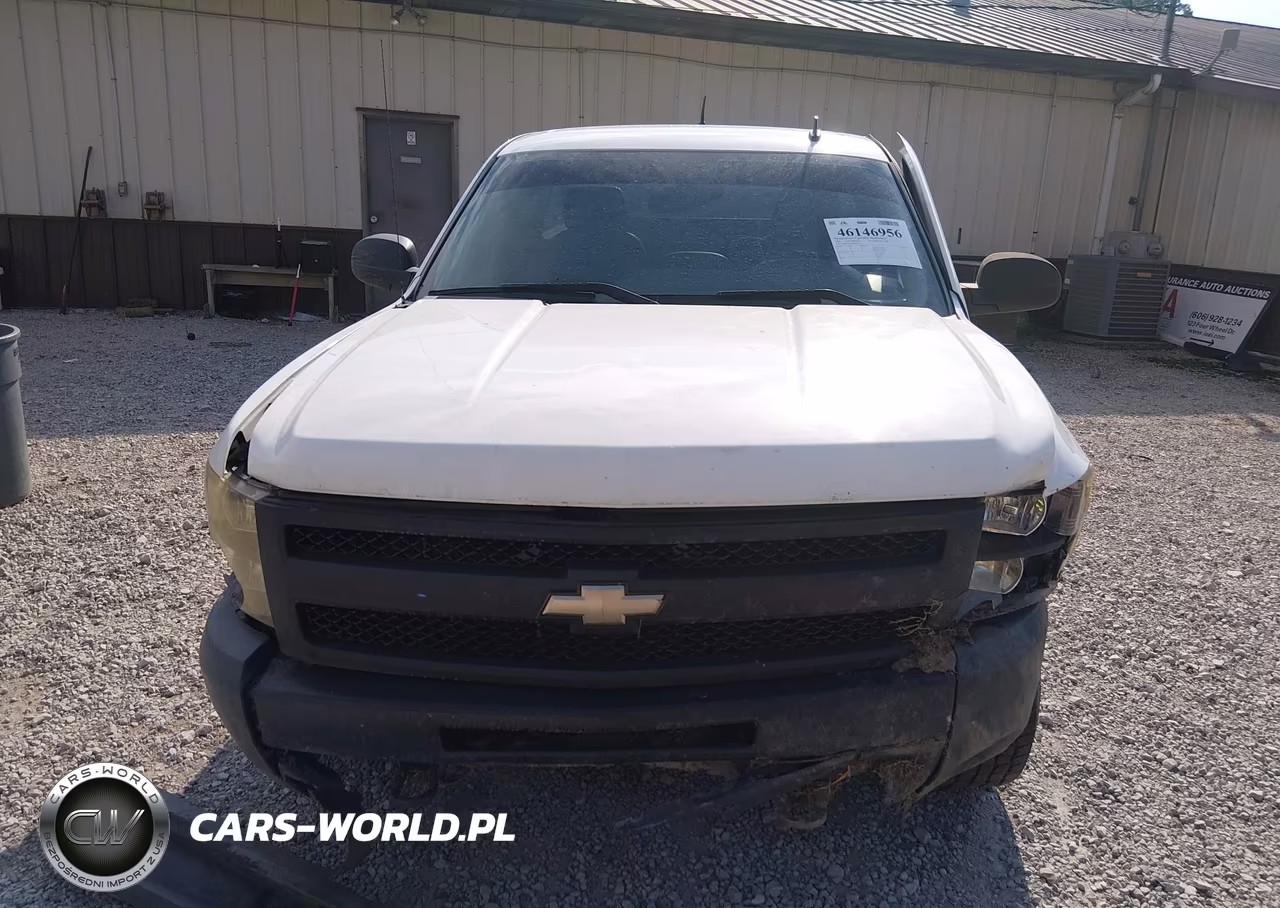 2009 Chevrolet Silverado 1500 Work Truck VIN:1GCEK14C99Z244894 - 12