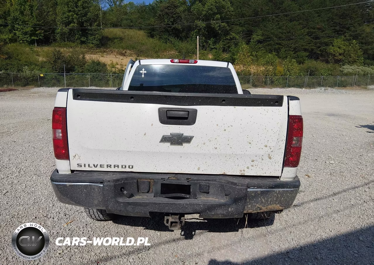 2009 Chevrolet Silverado 1500 Work Truck VIN:1GCEK14C99Z244894 - 16