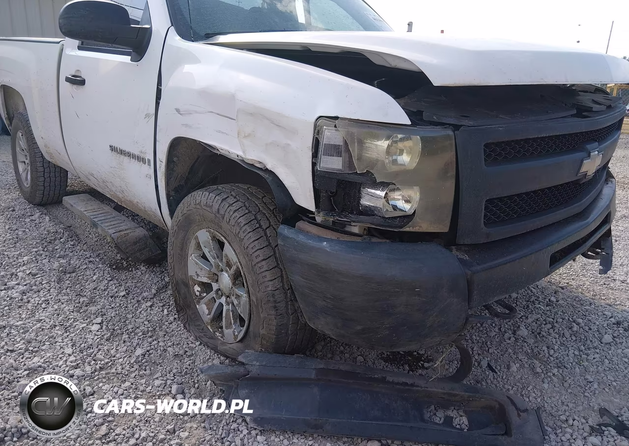 2009 Chevrolet Silverado 1500 Work Truck VIN:1GCEK14C99Z244894 - 6