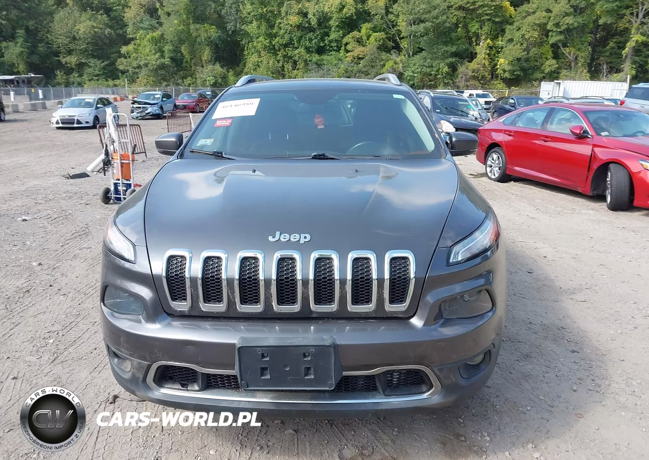 2017 Jeep Cherokee Limited 4X4 VIN:1C4PJMDBXHW519774 - 11