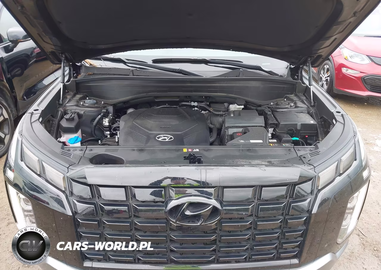 2025 Hyundai Palisade Sel VIN:KM8R24GE9SU904317 - 10
