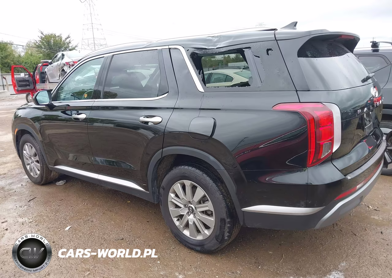 2025 Hyundai Palisade Sel VIN:KM8R24GE9SU904317 - 14