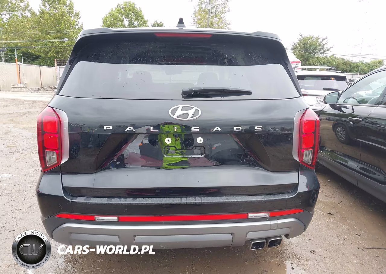 2025 Hyundai Palisade Sel VIN:KM8R24GE9SU904317 - 16