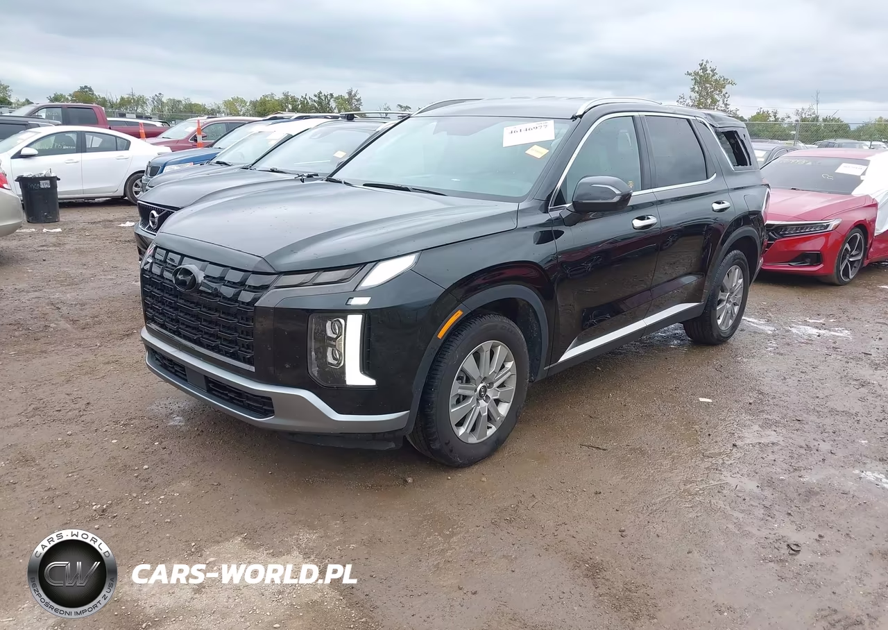 2025 Hyundai Palisade Sel VIN:KM8R24GE9SU904317 - 2