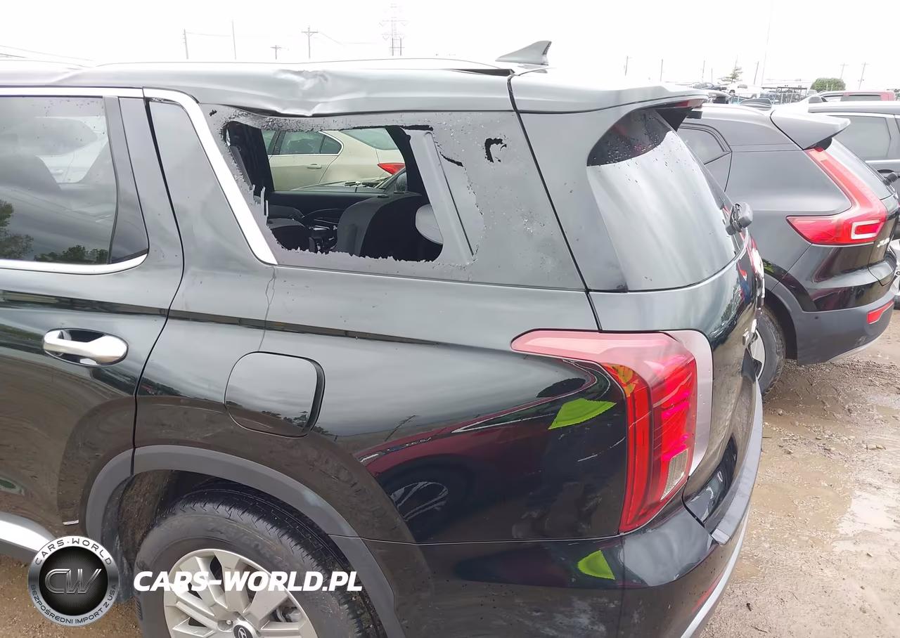 2025 Hyundai Palisade Sel VIN:KM8R24GE9SU904317 - 6