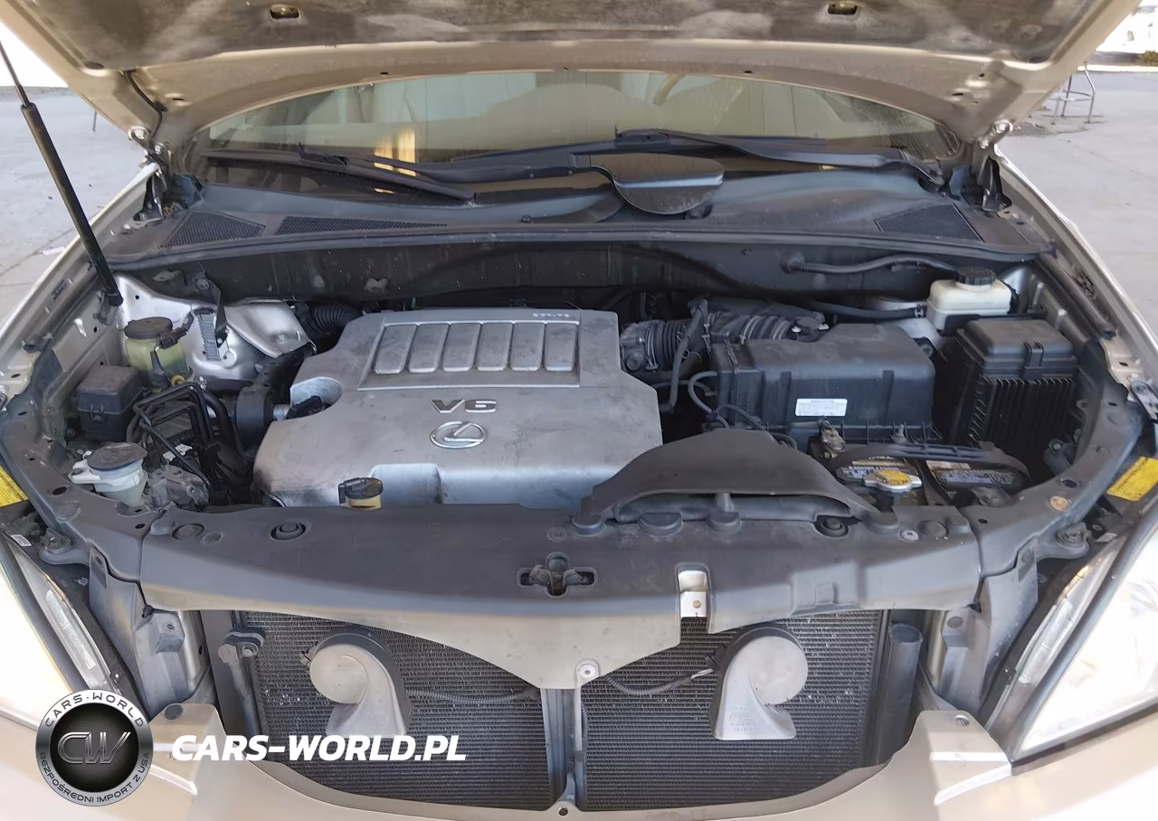 2007 Lexus Rx 350 VIN:2T2HK31U07C004089 - 10