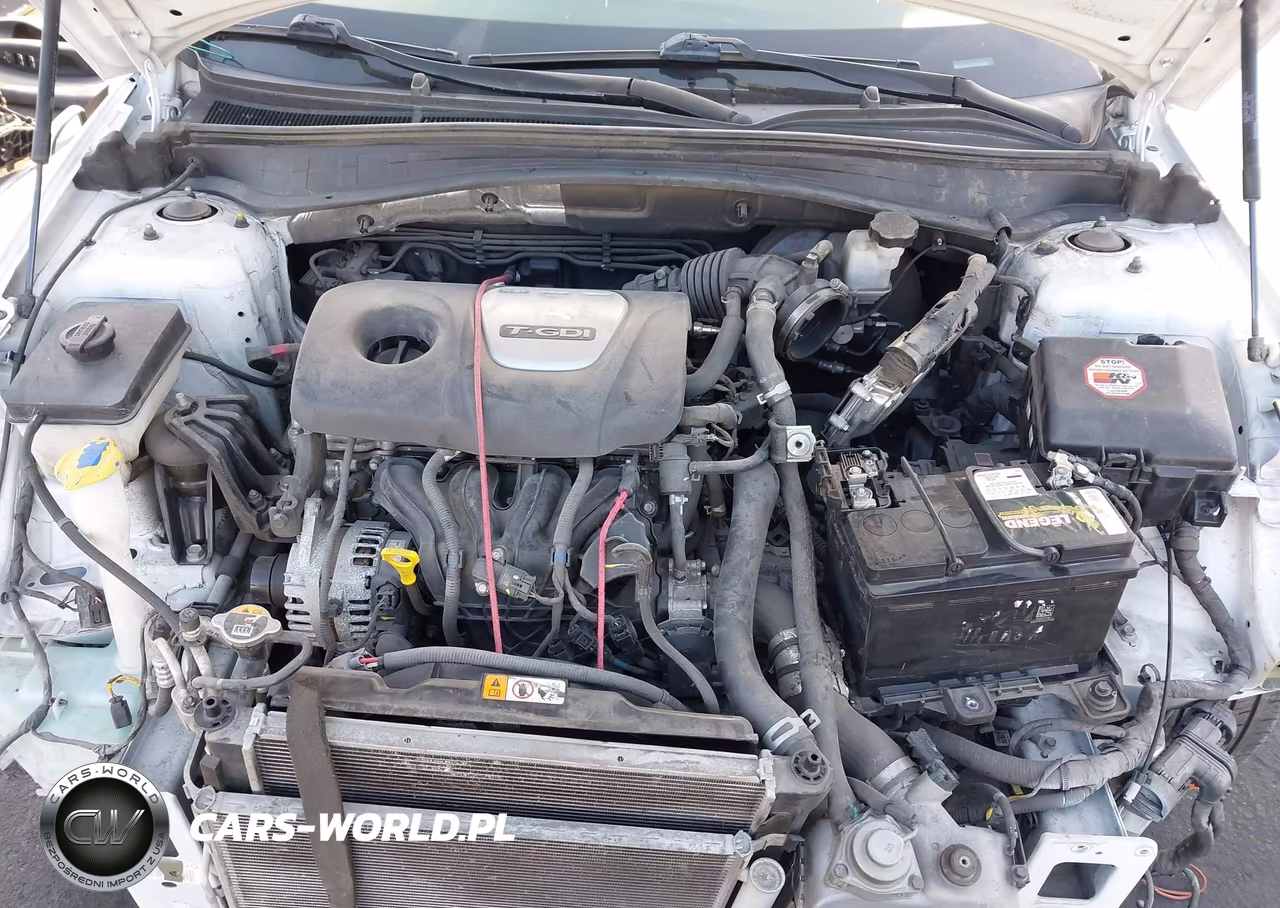 2020 Kia Optima Ex Premium VIN:5XXGU4L17LG424860 - 10