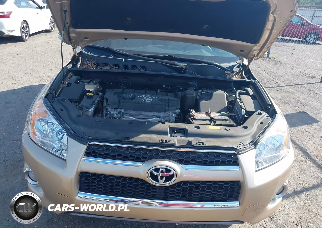 2009 Toyota Rav4 Limited VIN:2T3ZF31V39W001203 - 10