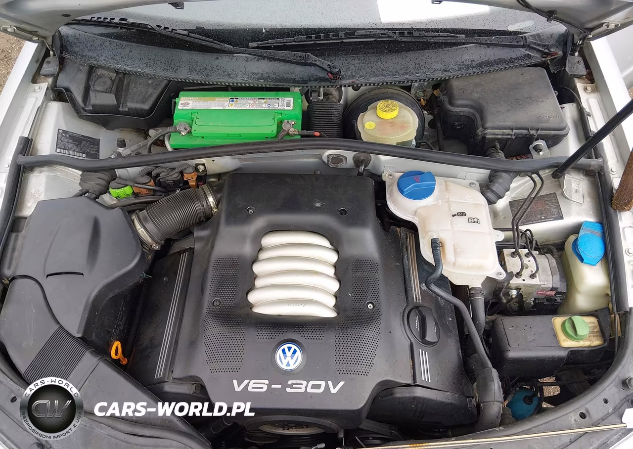 2001 Volkswagen Passat Glx VIN:WVWEH63B61E033166 - 10