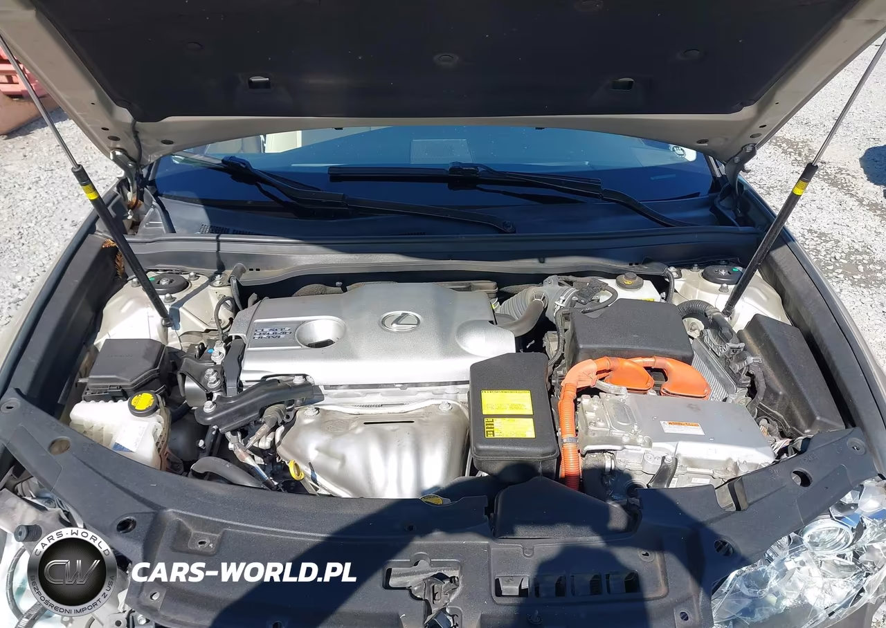 2013 Lexus Es 300H VIN:JTHBW1GG4D2011771 - 10