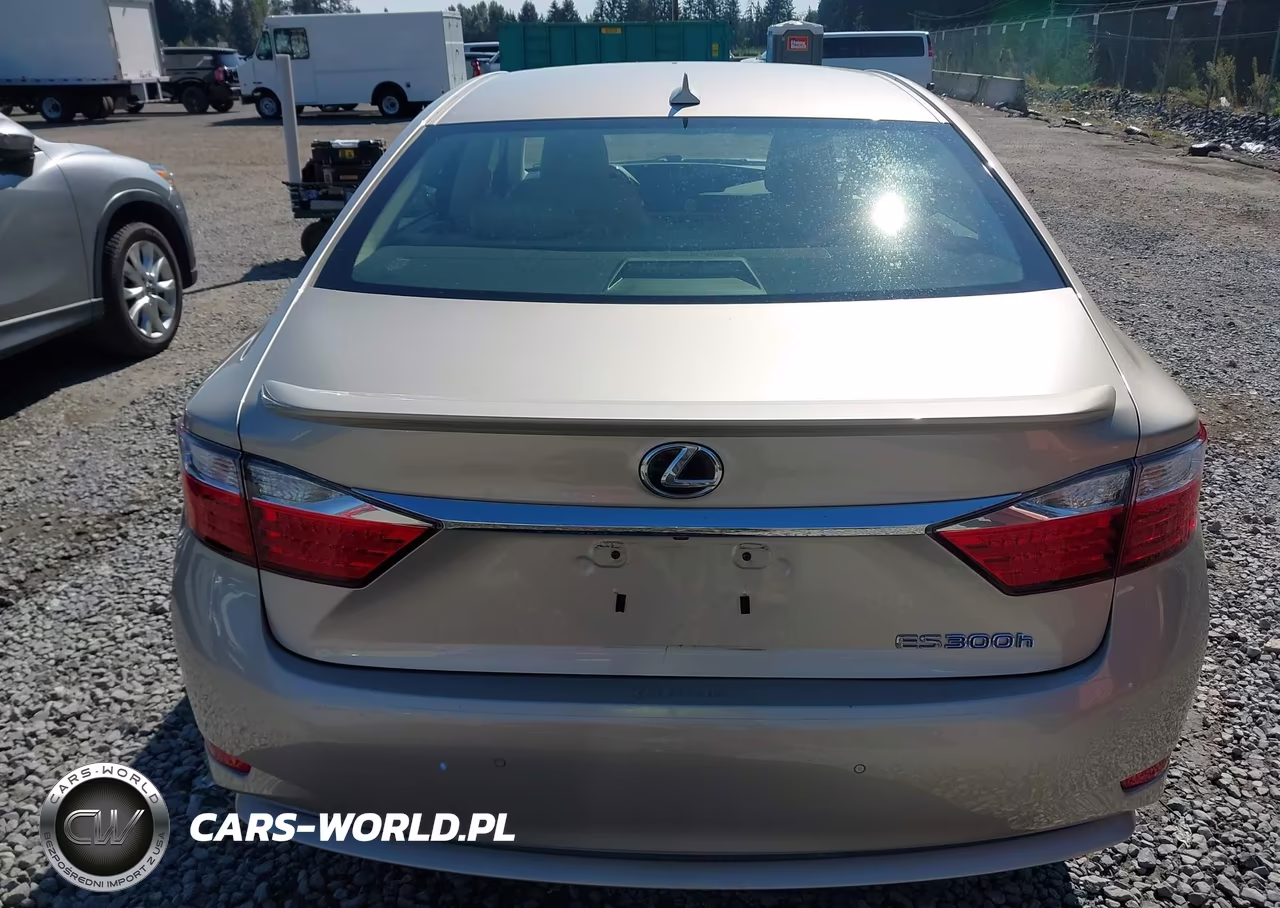 2013 Lexus Es 300H VIN:JTHBW1GG4D2011771 - 17