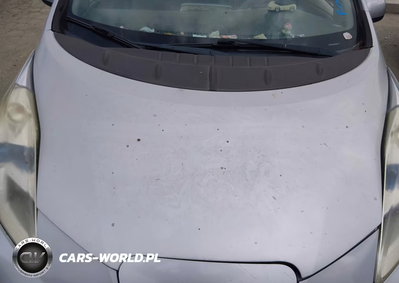 2011 Nissan Leaf Sl VIN:JN1AZ0CP4BT008724 - 10
