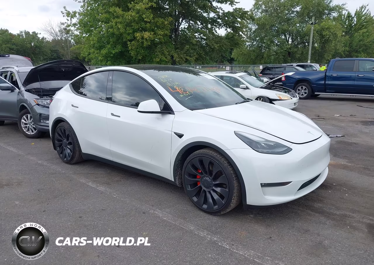 2023 Tesla Model Y Performance Dual Motor All-Wheel Drive