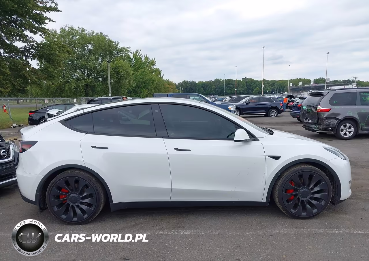 2023 Tesla Model Y Performance Dual Motor All-Wheel Drive VIN:7SAYGDEF6PF663669 - 12