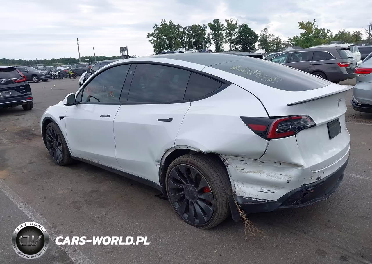 2023 Tesla Model Y Performance Dual Motor All-Wheel Drive VIN:7SAYGDEF6PF663669 - 3