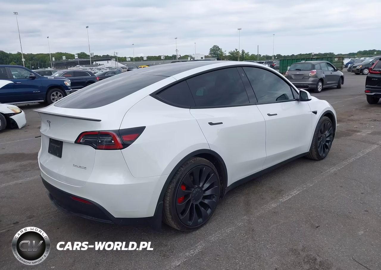 2023 Tesla Model Y Performance Dual Motor All-Wheel Drive VIN:7SAYGDEF6PF663669 - 4