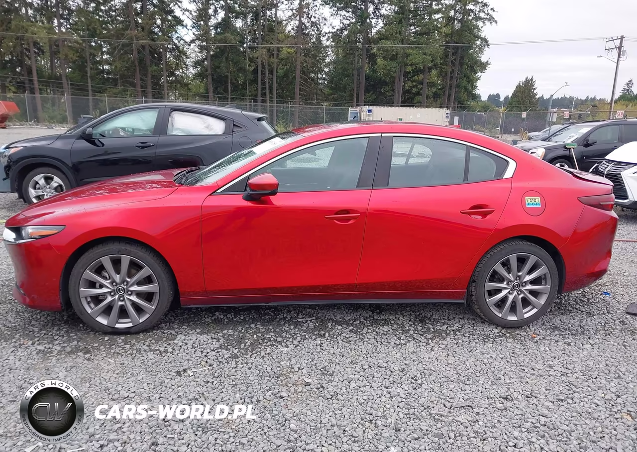 2019 Mazda Mazda3 Premium Package VIN:JM1BPBEM6K1139106 - 13