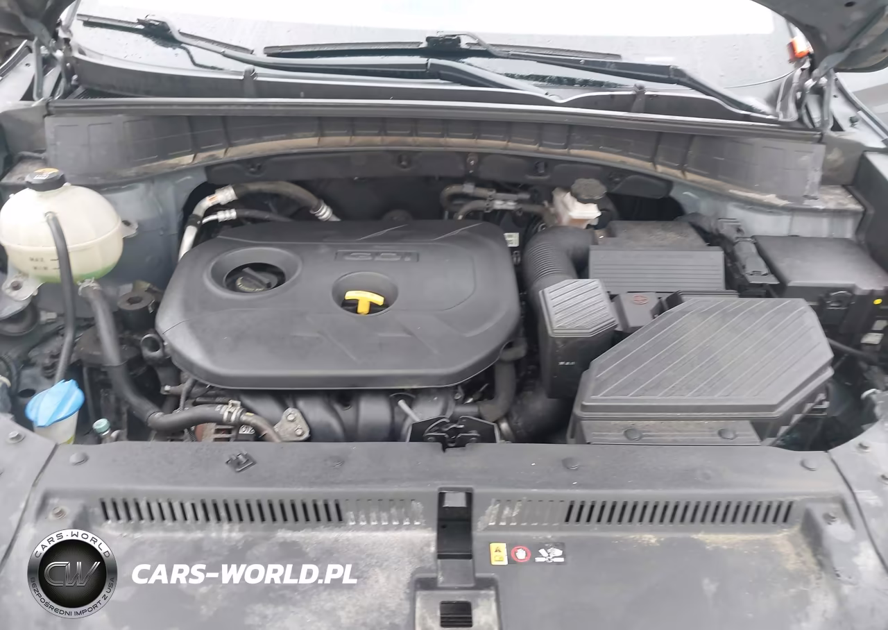 2016 Hyundai Tucson Se VIN:KM8J3CA47GU065697 - 10