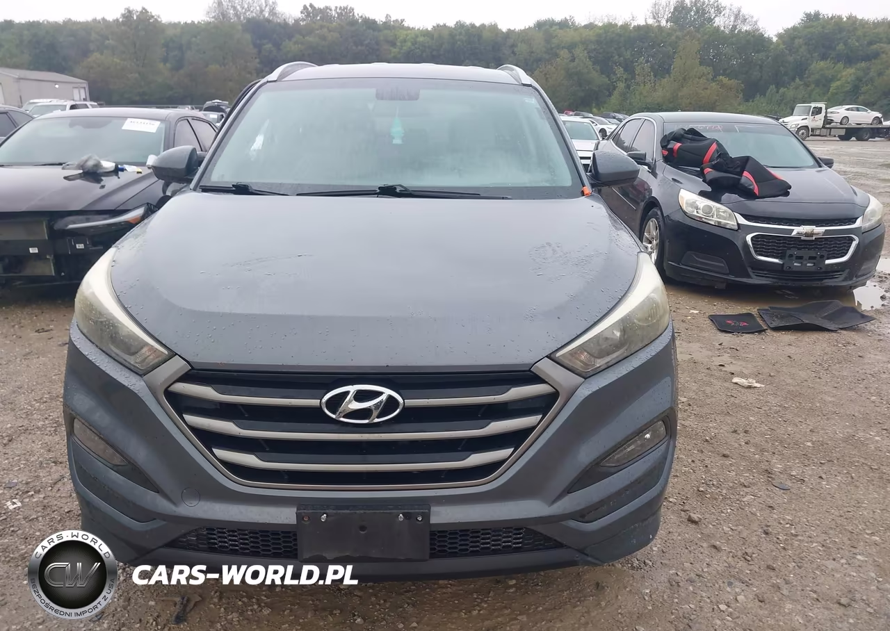 2016 Hyundai Tucson Se VIN:KM8J3CA47GU065697 - 12