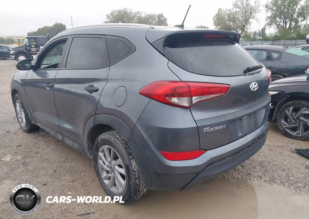 2016 Hyundai Tucson Se VIN:KM8J3CA47GU065697 - 3