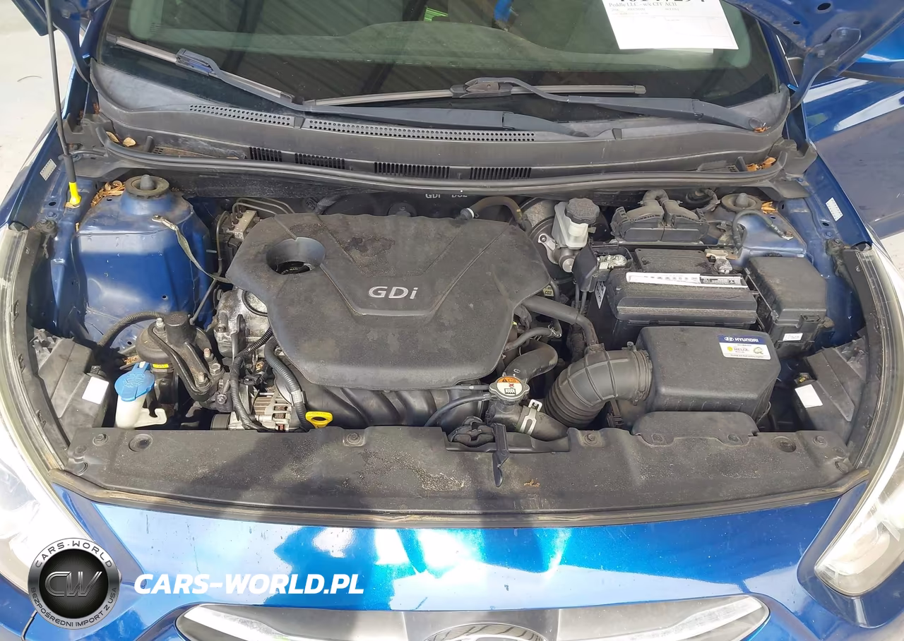 2016 Hyundai Accent Se VIN:KMHCT5AE7GU244366 - 10