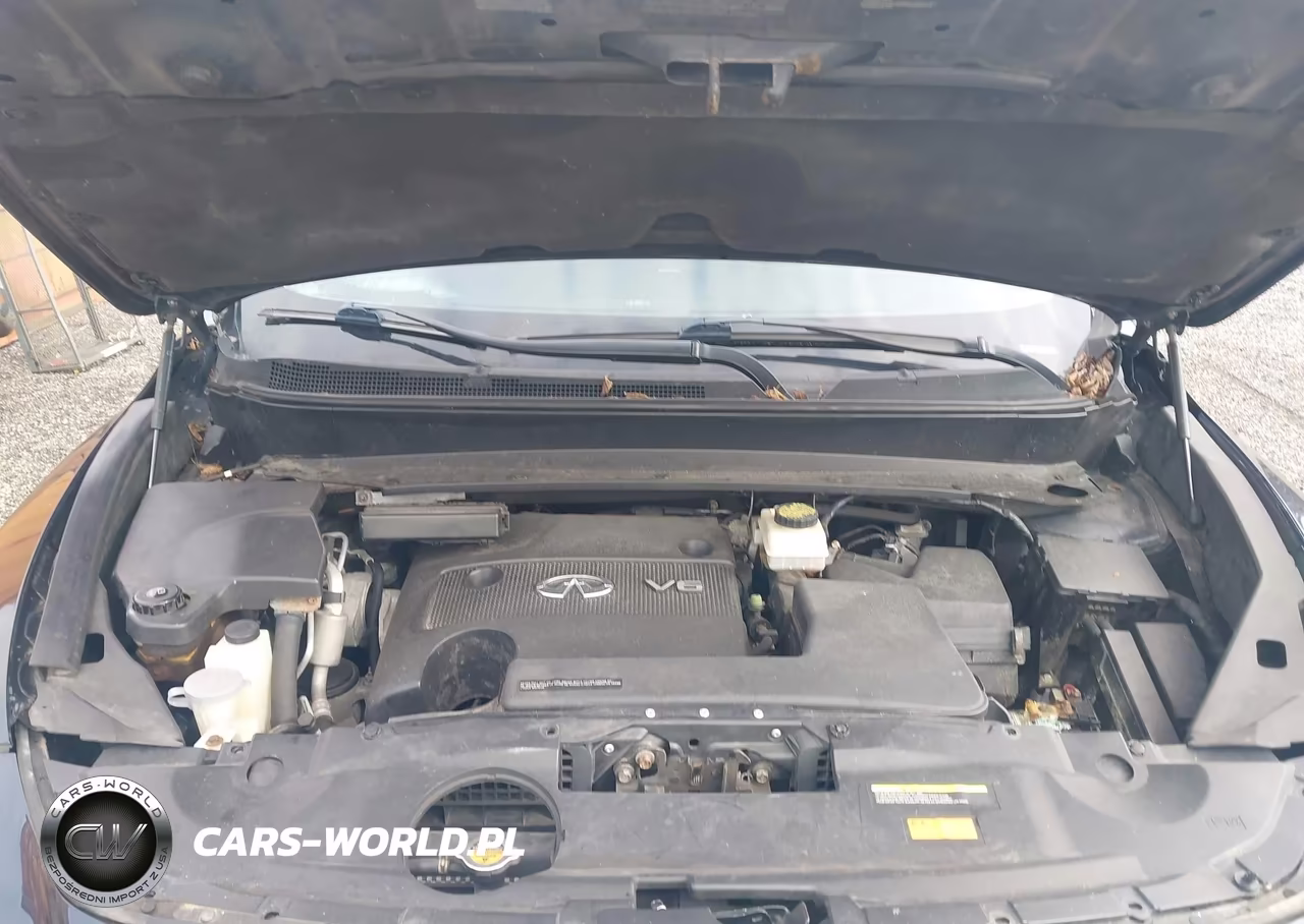 2016 Infiniti Qx60 VIN:5N1AL0MM1GC518812 - 10