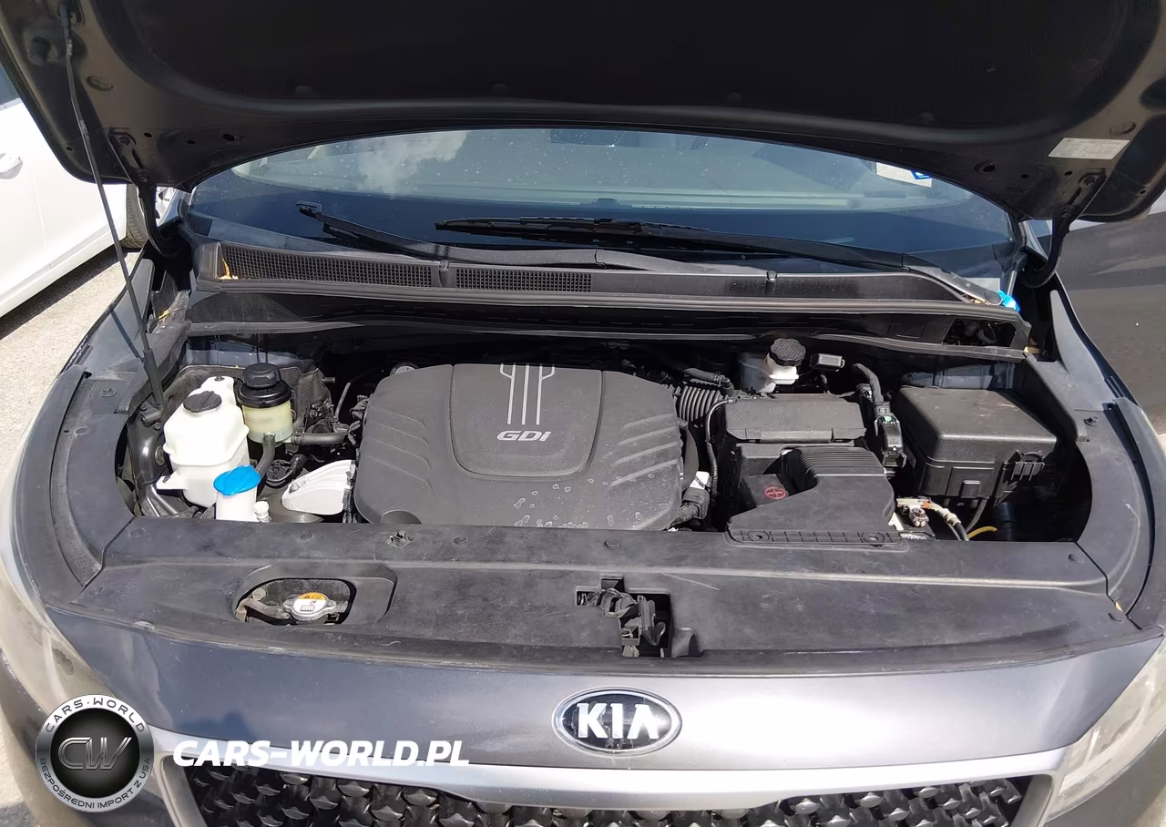 2016 Kia Sedona Lx VIN:KNDMB5C13G6098025 - 10