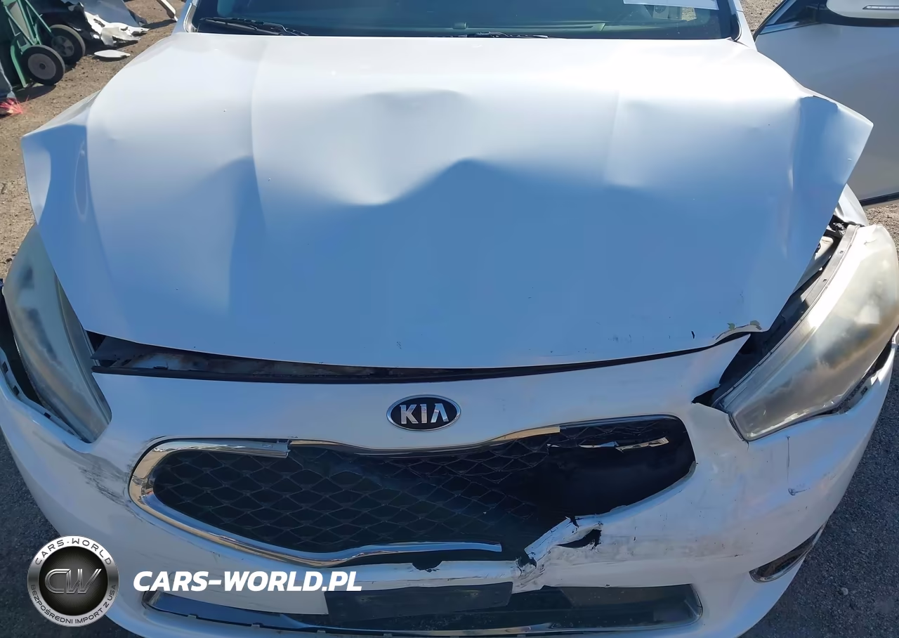 2015 Kia Cadenza Premium VIN:KNALN4D70F5168517 - 10