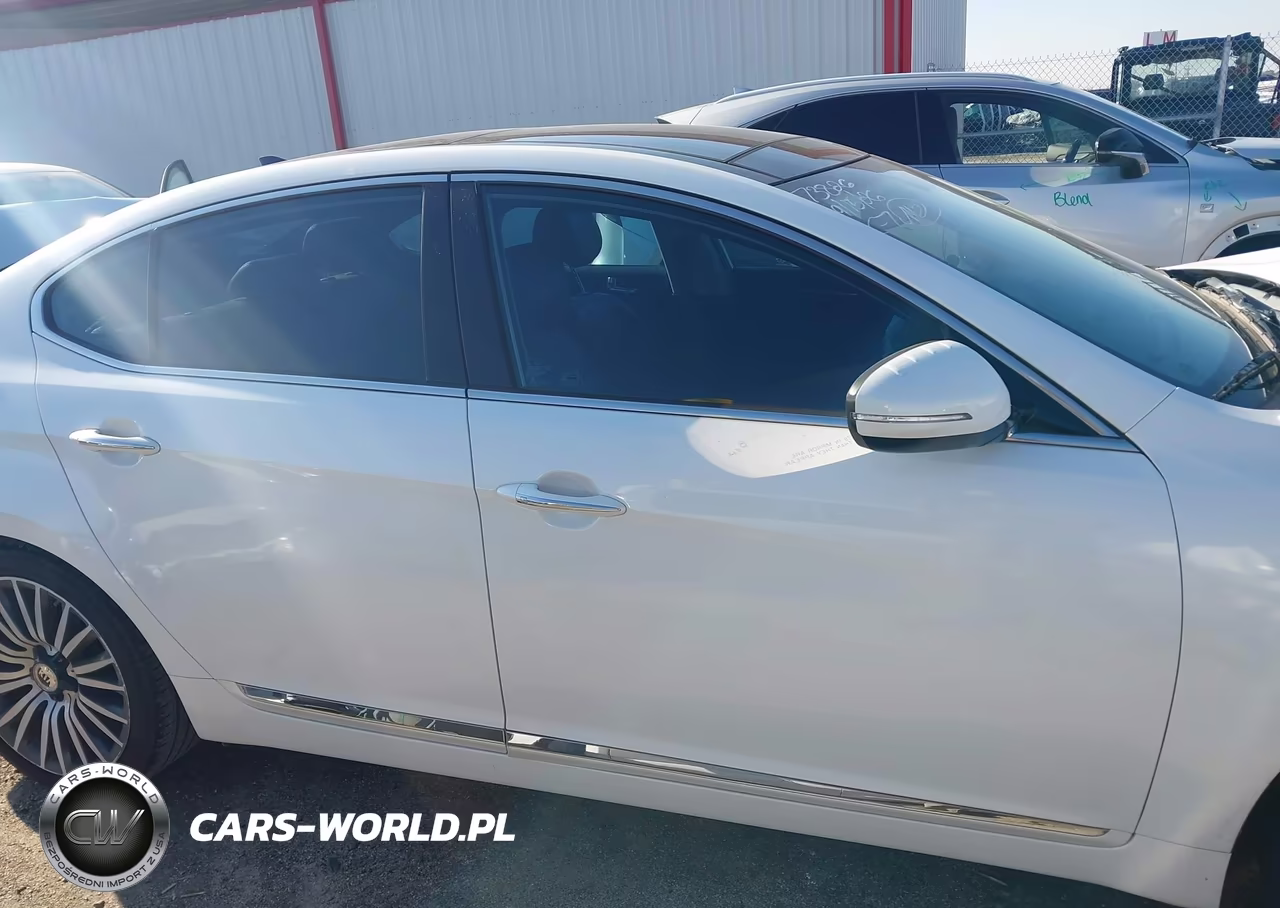2015 Kia Cadenza Premium VIN:KNALN4D70F5168517 - 14