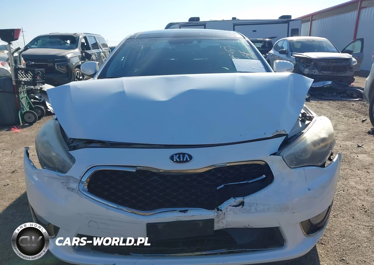 2015 Kia Cadenza Premium VIN:KNALN4D70F5168517 - 20