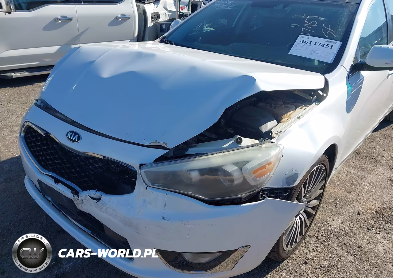 2015 Kia Cadenza Premium VIN:KNALN4D70F5168517 - 21